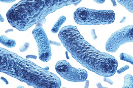 Legionella Test Kits - Lovibond Water Testing
