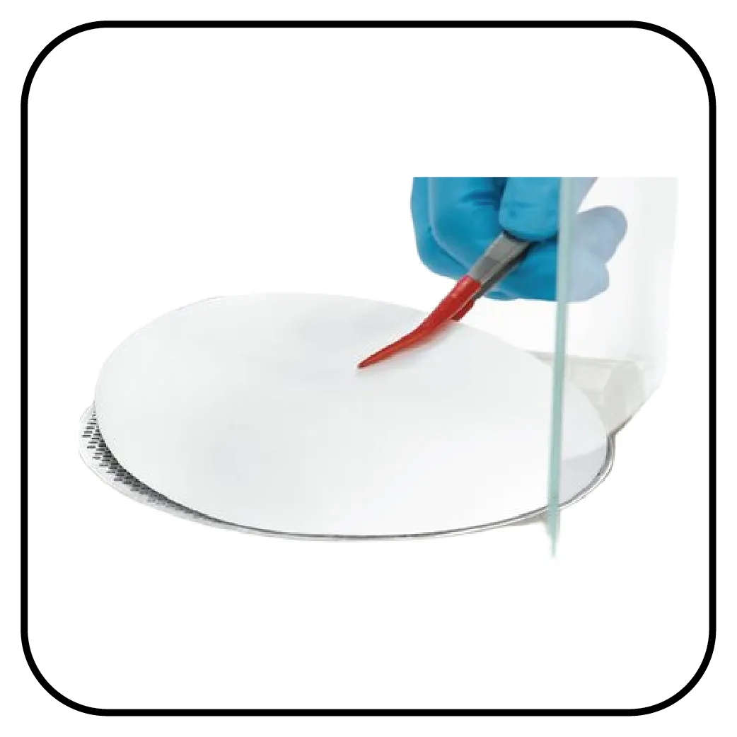 Quintix & Secura Lab Balances - Sartorius Weighing